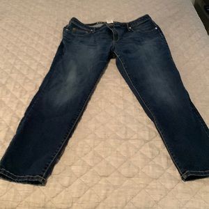 Ava and Vic Jegging  Size 18W
